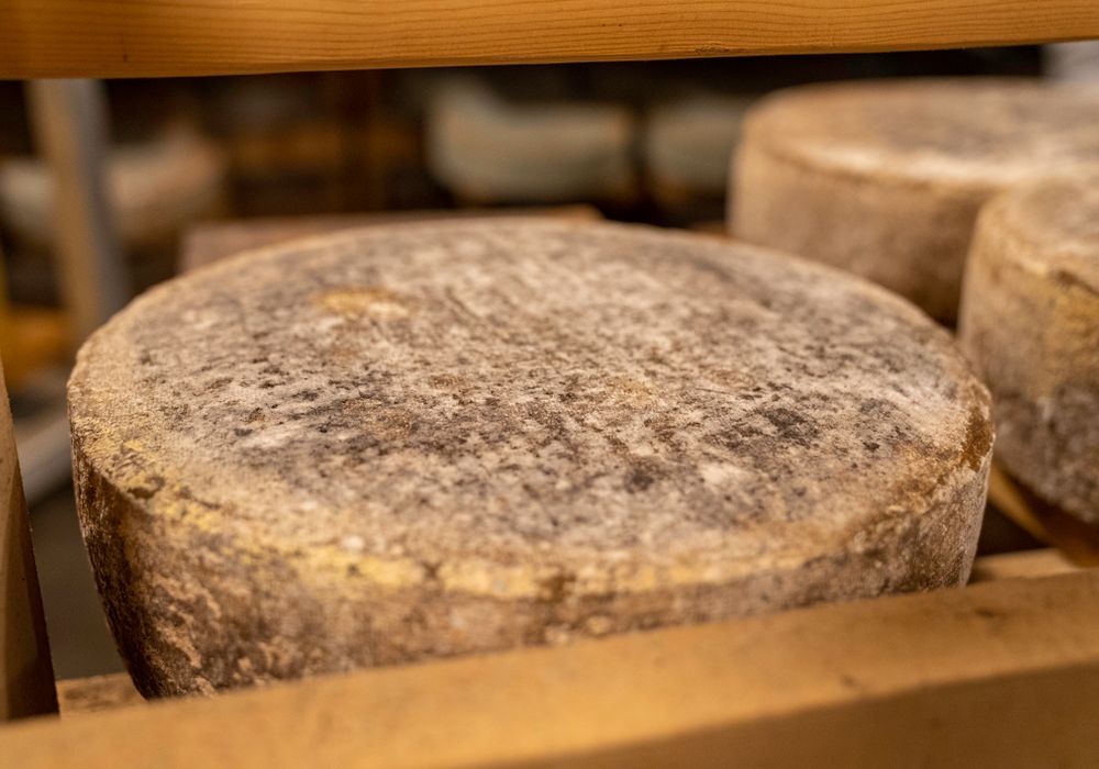 Gereifter Käselaib auf Holzbrett